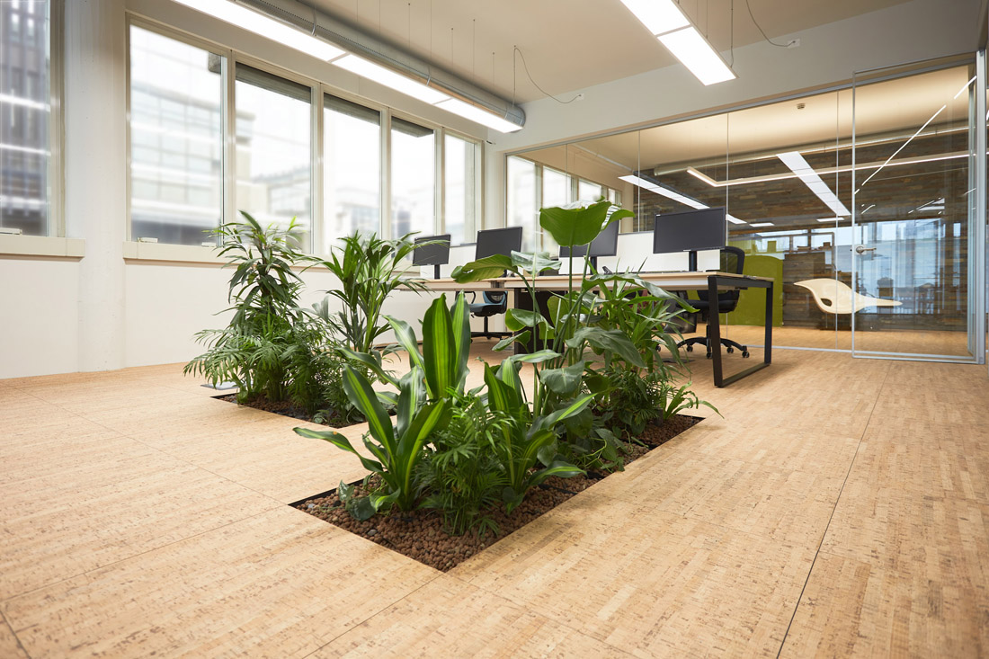 Floora modulo piante idrocoltura per pavimenti sopraelevati